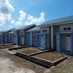 WhatsApp Image 2026-02-10 at 14.33.46