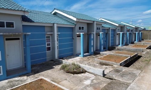 WhatsApp Image 2026-02-10 at 14.33.43