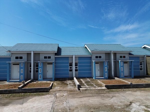 WhatsApp Image 2026-02-10 at 14.33.46 (1) (1)