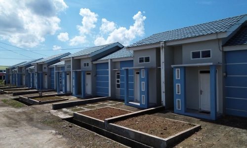 WhatsApp Image 2026-02-10 at 14.33.46