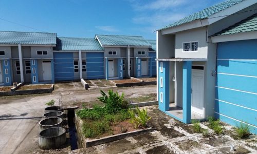 WhatsApp Image 2026-02-10 at 14.33.47